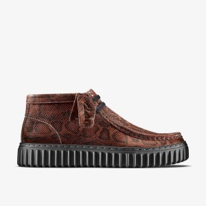 Cizme Barbati Clarks Martine Rose Torhill Hi Brown Snake Maro Snakeskin | 692357PSO