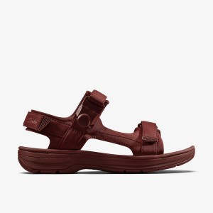 Sandale Barbati Clarks Martine Rose Mens Sandal 2 Oxblood Textile Visinii | 872916VMI